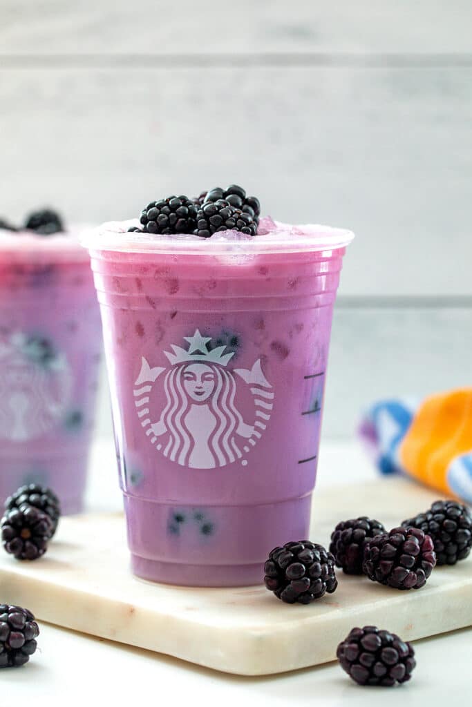 Does Starbucks Have Lavender Syrup? Adding Floral Flavor